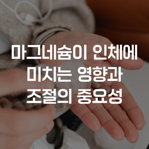 마그네슘이 인체에 미치는 영향과 조절의 중요성
