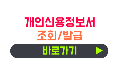 개인신용정보서 발급